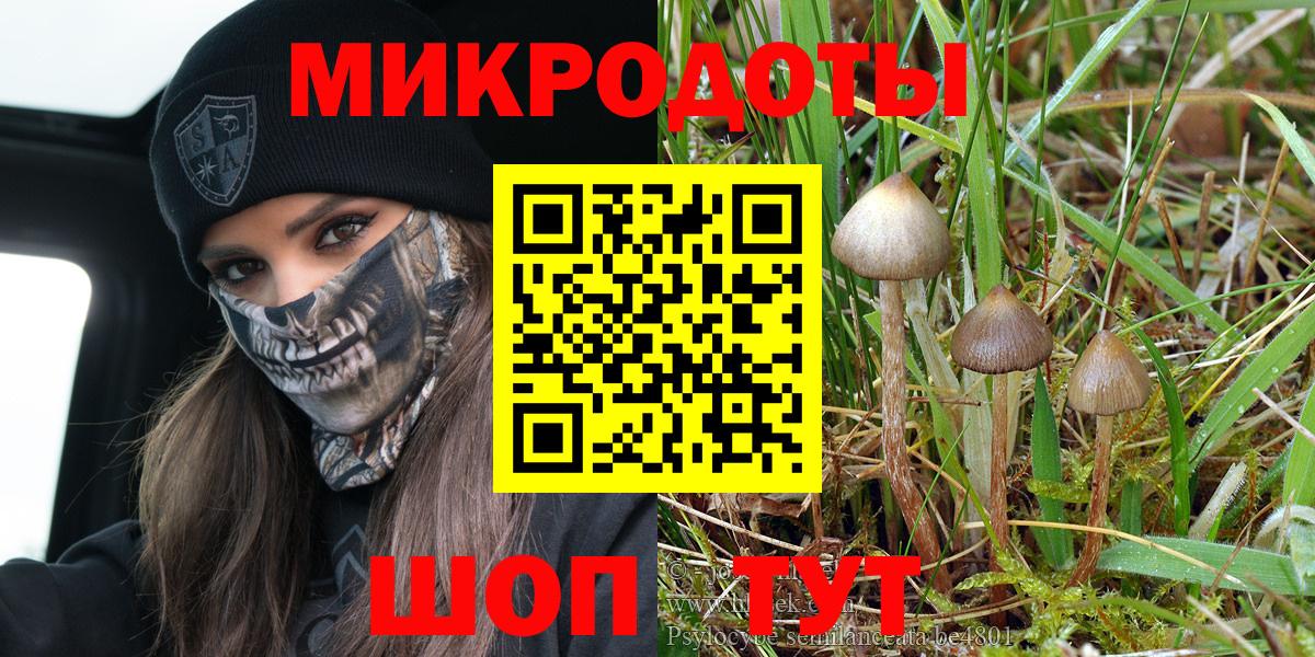 как найти закладки  Вход с VPN  Шуя  Галлюциногенные грибы мицелий 