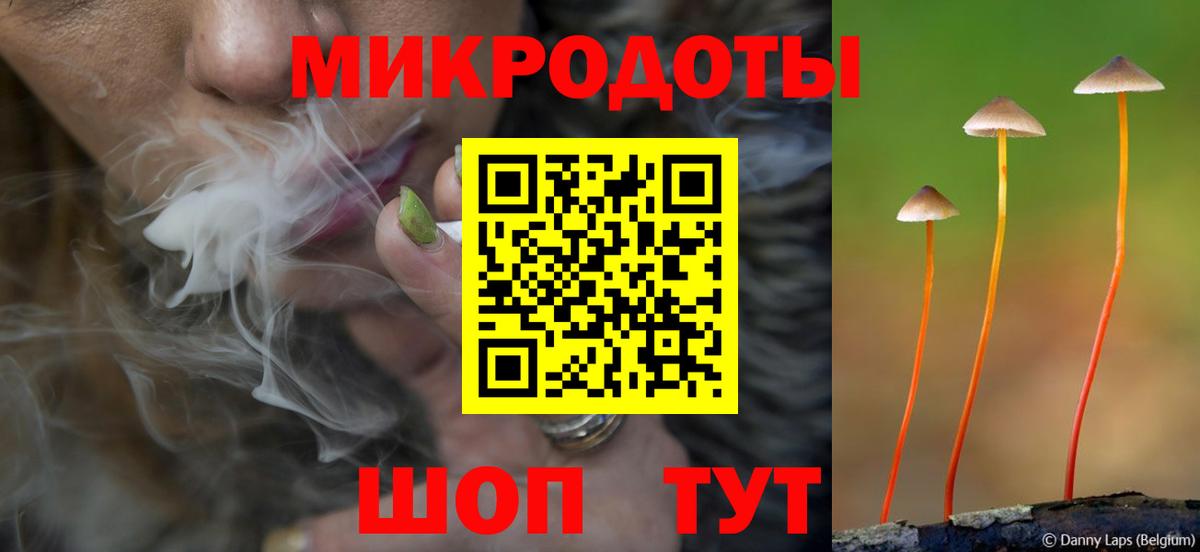 Псилоцибиновые грибы прущие грибы Шуя